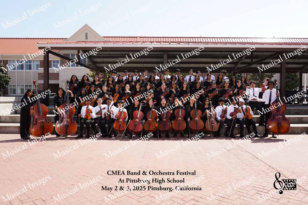 Musical Images